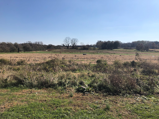 Produce Market «Solly Brothers», reviews and photos, 707 Almshouse Rd, Warminster, PA 18974, USA