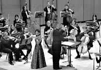 Violin Lessons - Rebecca Chung - Photo 5 - Car repair in St. Louis, MO, St. Louis