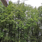 Photo n°2 de l'avis de marialaura.a fait le 30/06/2021 à 09:18 sur le  Chalet Burraia Snc Di Bosi Rita & C. à Campigna