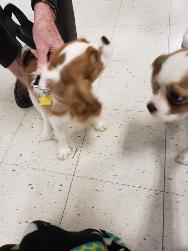 Pet Supply Store «PetSmart», reviews and photos, 8460 Tamarack Village, Woodbury, MN 55125, USA