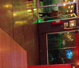 Que Rollo Sushi & Bar Quiroga photo