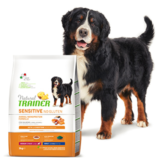 Pensioni per cani e dog hotel a Pets Bazar