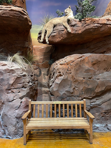 Sporting Goods Store «Bass Pro Shops», reviews and photos, 8200 Dean Martin Dr, Las Vegas, NV 89139, USA