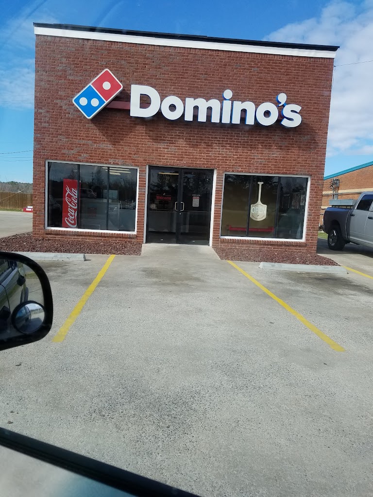 Domino's Pizza 35007