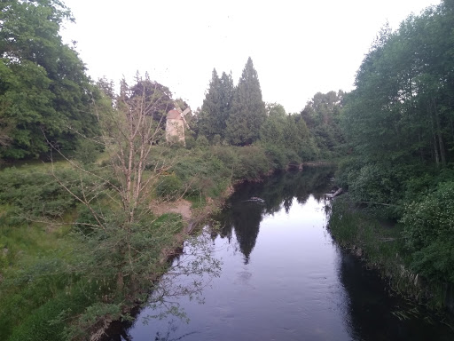 Concert Hall «Marymoor Park Concerts», reviews and photos, 6046 West Lake Sammamish Pkwy NE, Redmond, WA 98052, USA