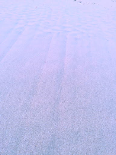 Grocery Store «Sandbridge Seaside Market», reviews and photos, 209 Sandbridge Rd, Virginia Beach, VA 23456, USA