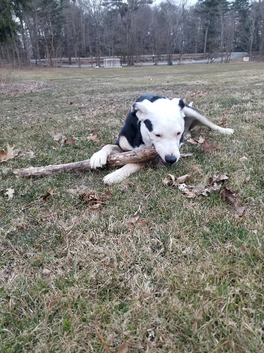Farm «Pequitside Farm», reviews and photos, 79 Pleasant St, Canton, MA 02021, USA
