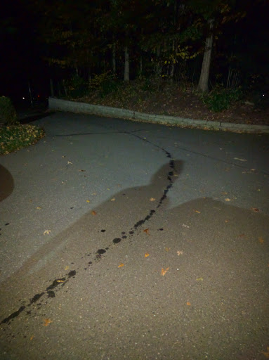 Car Wash «Squeaky Clean Car Wash and Lube Center», reviews and photos, 2381 Foxon Rd, North Branford, CT 06471, USA