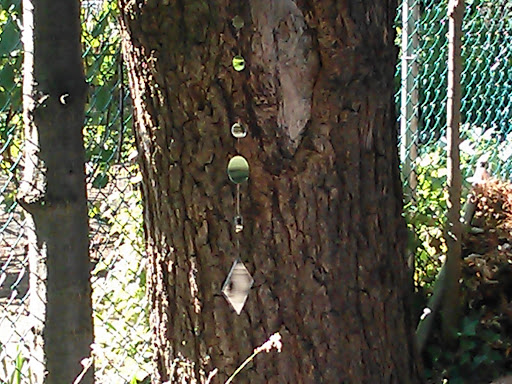 Park «Tuland Park», reviews and photos, W 144th St, Cleveland, OH 44111, USA