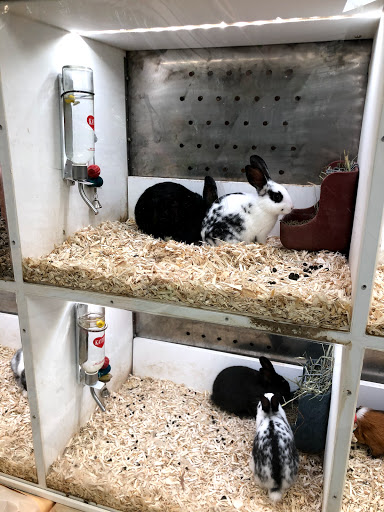 Pet Supply Store «Buckles Feed Depot & Pet Supply», reviews and photos, 220 S 4th St, Lafayette, IN 47901, USA