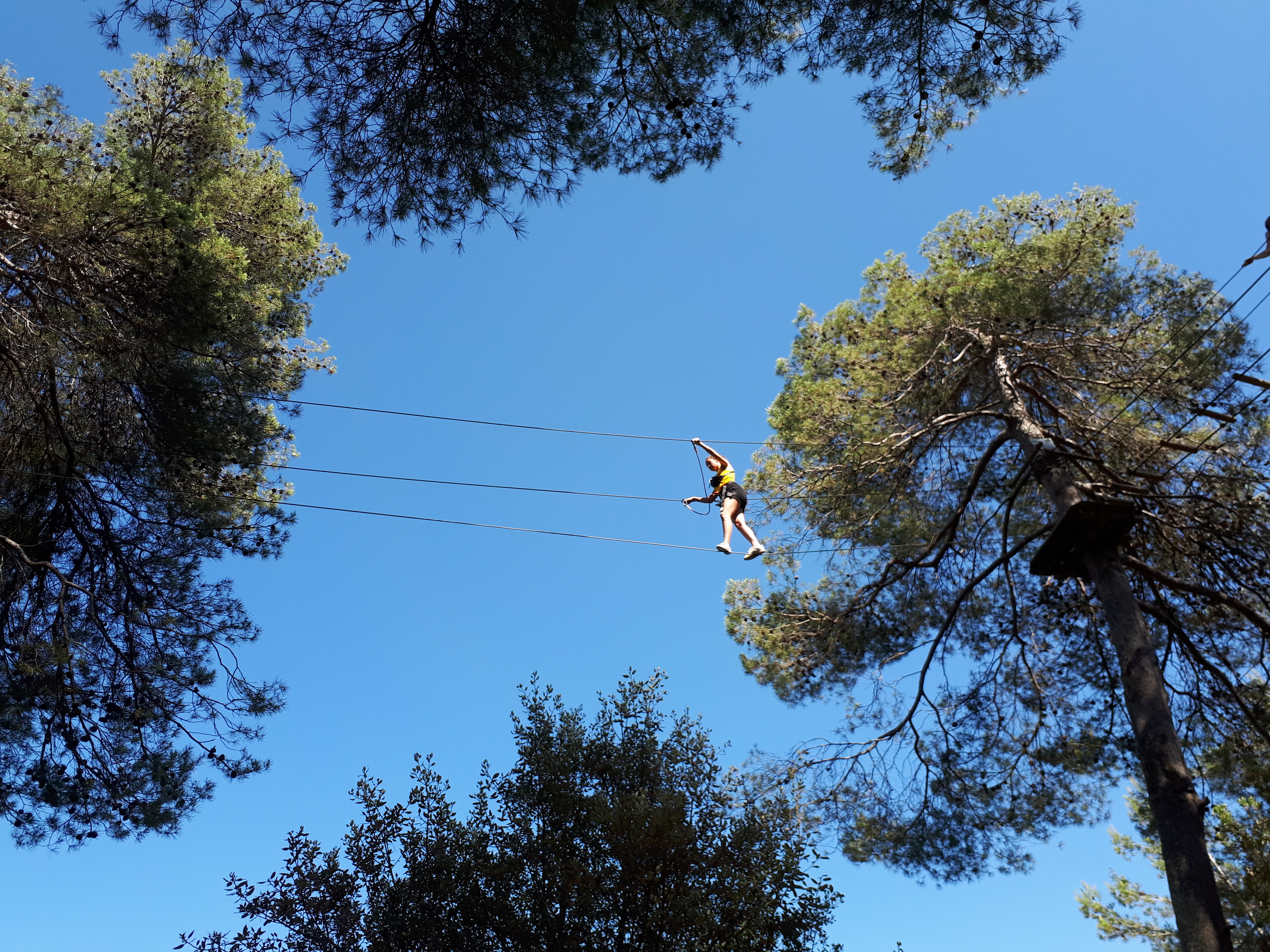 Photo n° 1 de l'avis de Rodica.i fait le 30/07/2019 à 10:53