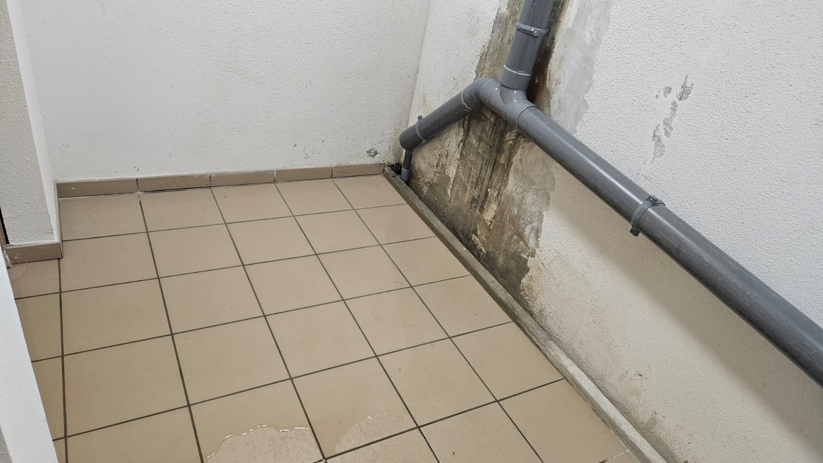 Photo n° 2 de l'avis de Georges.o fait le 25/08/2023 à 16:55