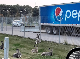 PepsiCo Foods Canada