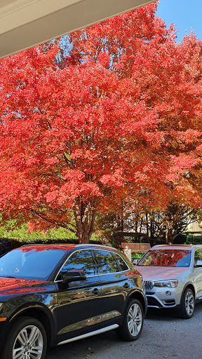 Private Golf Course «Ansley Golf Club», reviews and photos, 196 Montgomery Ferry Dr NE, Atlanta, GA 30309, USA