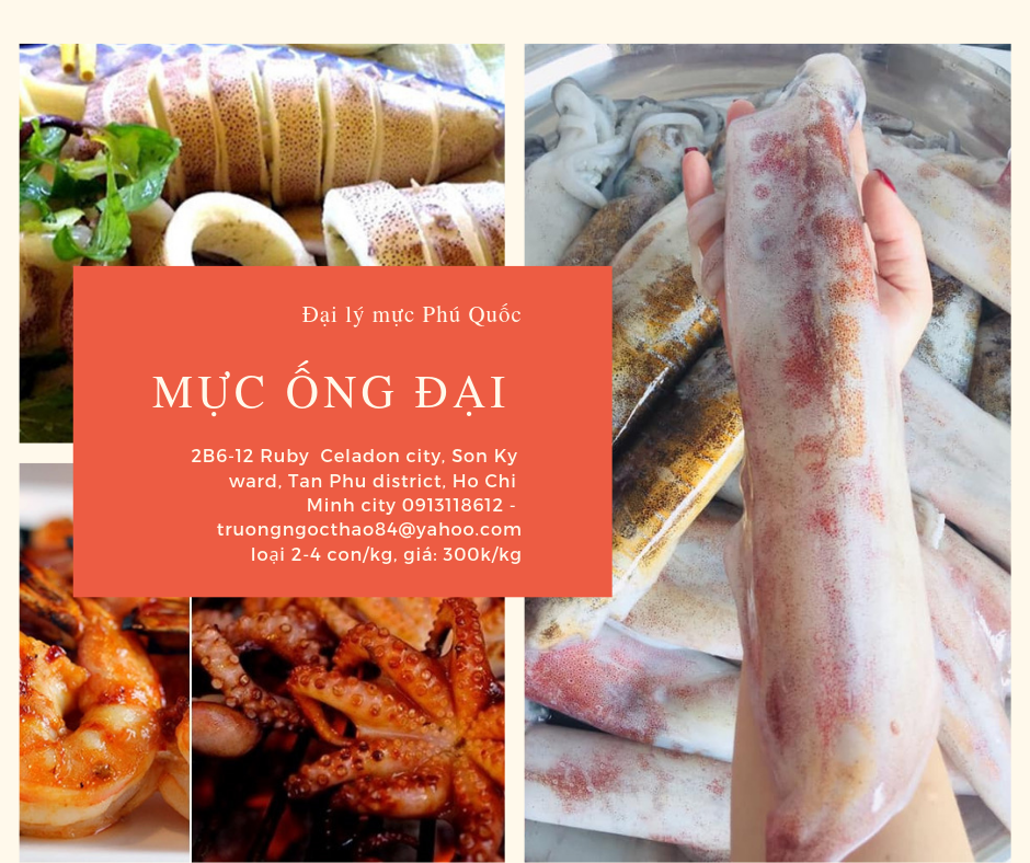 Đại lý mực phú quốc