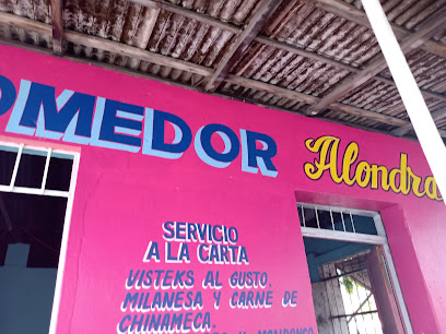 Comedor Alondra - Ramon Corona 121, Centro, 96200 Jáltipan de Morelos, Ver., Mexico