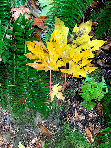 Castle Rock State Park Parking image