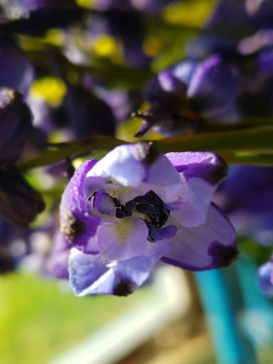 Florist «Treasures Remembered Florist», reviews and photos, 600 W Locust St, Princeton, KY 42445, USA