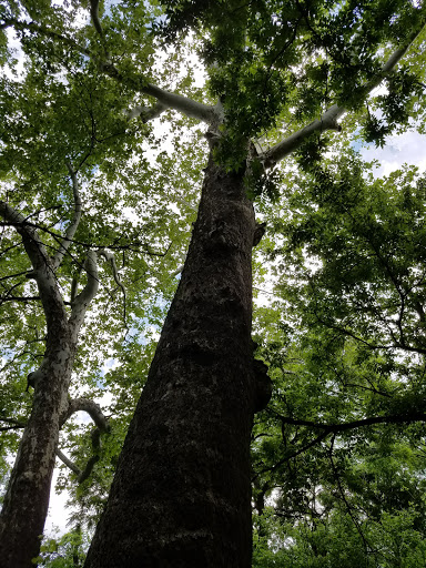 Public Golf Course «Heritage Ranch & Golf Country Club», reviews and photos, 465 Scenic Ranch Cir, McKinney, TX 75069, USA