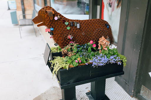 Pet Supply Store «Brookside Barkery & Bath», reviews and photos, 118 W 63rd St, Kansas City, MO 64113, USA