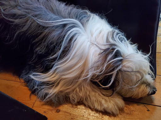 Winery «Black Sheep Vineyard Inc.», reviews and photos, 1454 US-250, Adena, OH 43901, USA