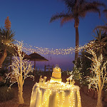 Photo n°2 de l'avis de Natasha.h fait le 23/07/2023 à 14:59 sur le  Lido Marinella Ristorante Meta à Meta