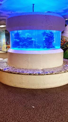 Pet Store «Tanks A Lot Aquariums», reviews and photos, 6680 Lantana Rd, Lake Worth, FL 33467, USA
