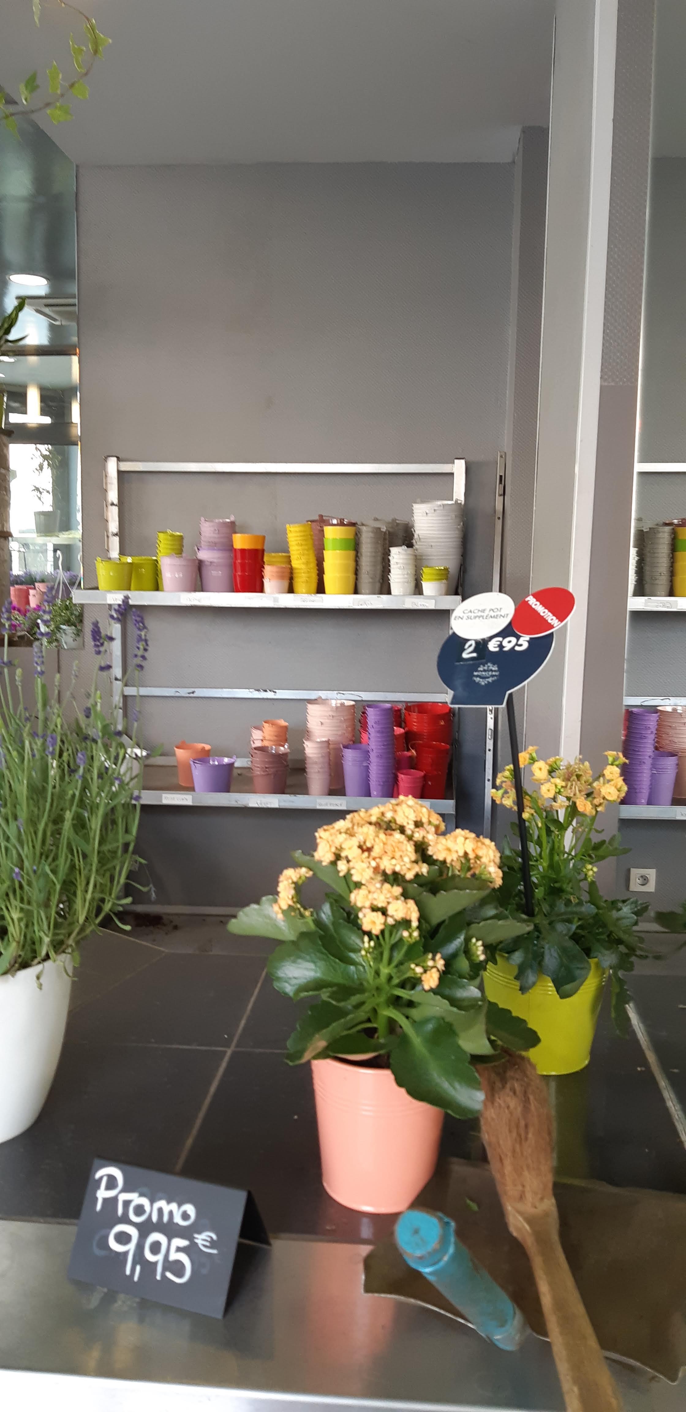 Photo n° 14 de l'avis de Del.t fait le 06/07/2019 à 07:39