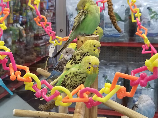 Pet Supply Store «Petco Animal Supplies», reviews and photos, 403 N 8th St, West Dundee, IL 60118, USA