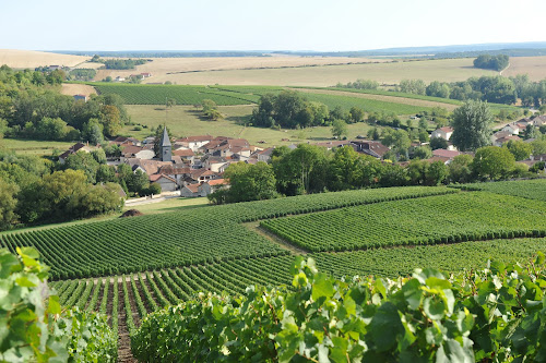 Champagne Sébastien Tapray à Colombé-la-Fossé