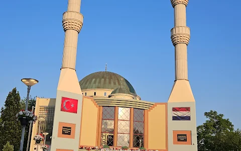Mevlana Mosque image