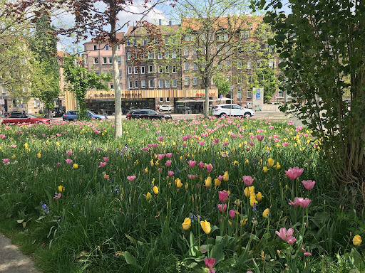 Stadt Nürnberg - Servicebetrieb Öffentlicher Raum (SÖR)