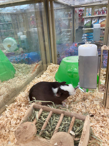 Pet Supply Store «Pet Supermarket», reviews and photos, 3821 S Cobb Dr, Smyrna, GA 30080, USA