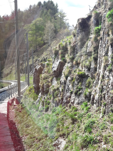site_photo3