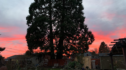 Park «Kandle Park», reviews and photos, 2323 N Shirley St, Tacoma, WA 98407, USA