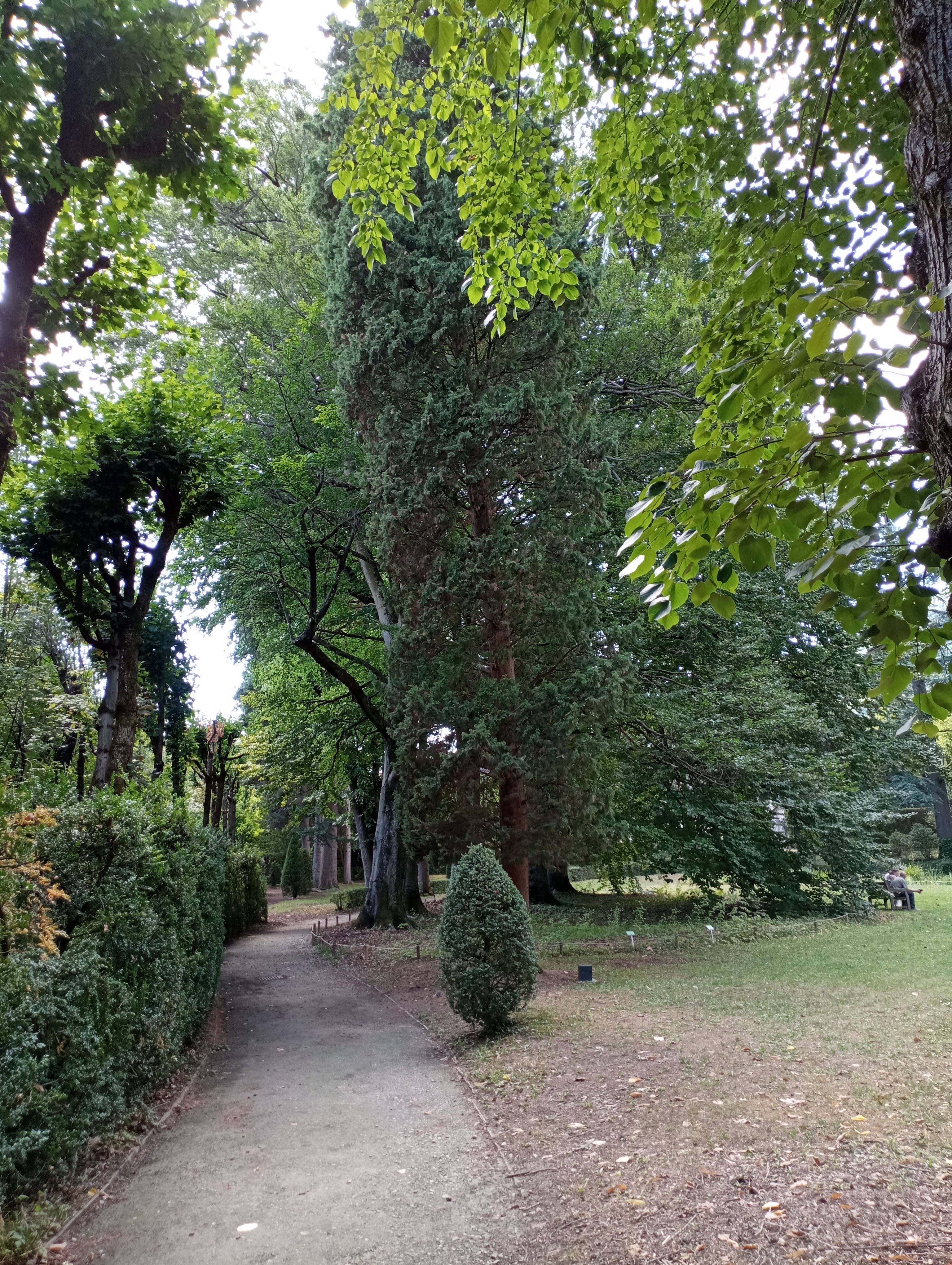Photo n° 4 de l'avis de Serge.1 fait le 20/08/2022 à 16:18