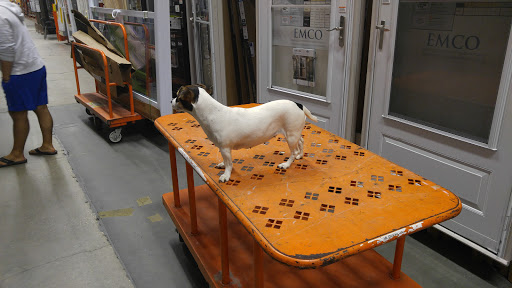 Home Improvement Store «The Home Depot», reviews and photos, 30144 US Hwy 19 N, Clearwater, FL 33761, USA