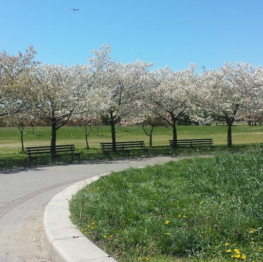 Car Wash «Sparkles Carwash & Quick Lube», reviews and photos, 3107 Farrington St, Flushing, NY 11354, USA