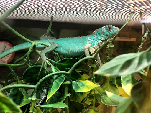 Pet Supply Store «Petco Animal Supplies», reviews and photos, 3637 2700 W, West Valley City, UT 84119, USA