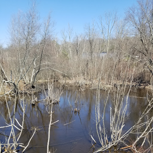 Tourist Attraction «Blackstone Valley Bike Path», reviews and photos, 207 N Main St, Millbury, MA 01527, USA