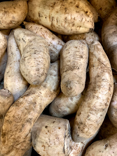 Grocery Store «Asian Market», reviews and photos, 1043 Pedigo Way # 8, Bowling Green, KY 42103, USA