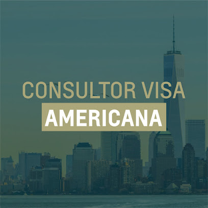 Consultor Visa Americana