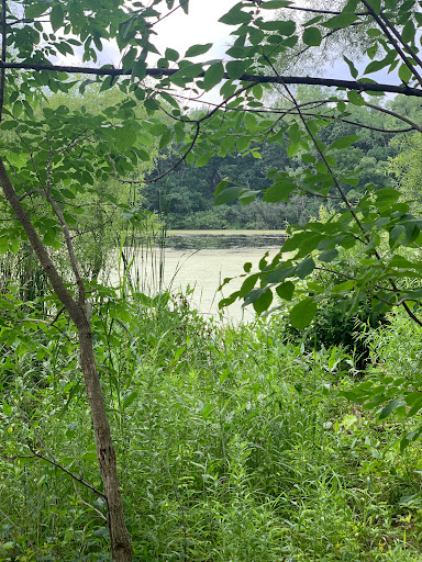 Nature Preserve «Cook County Forest Preserve», reviews and photos, 1700 N Quentin Rd, Palatine, IL 60074, USA