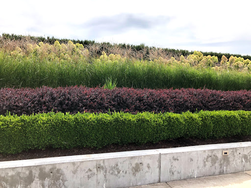 Vineyard «Ponzi Winery», reviews and photos, 19500 SW Mountain Home Rd, Sherwood, OR 97140, USA