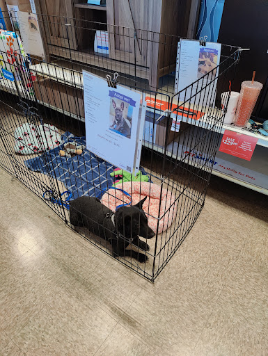 Pet Supply Store «PetSmart», reviews and photos, 1733 S Stapley Dr, Mesa, AZ 85204, USA