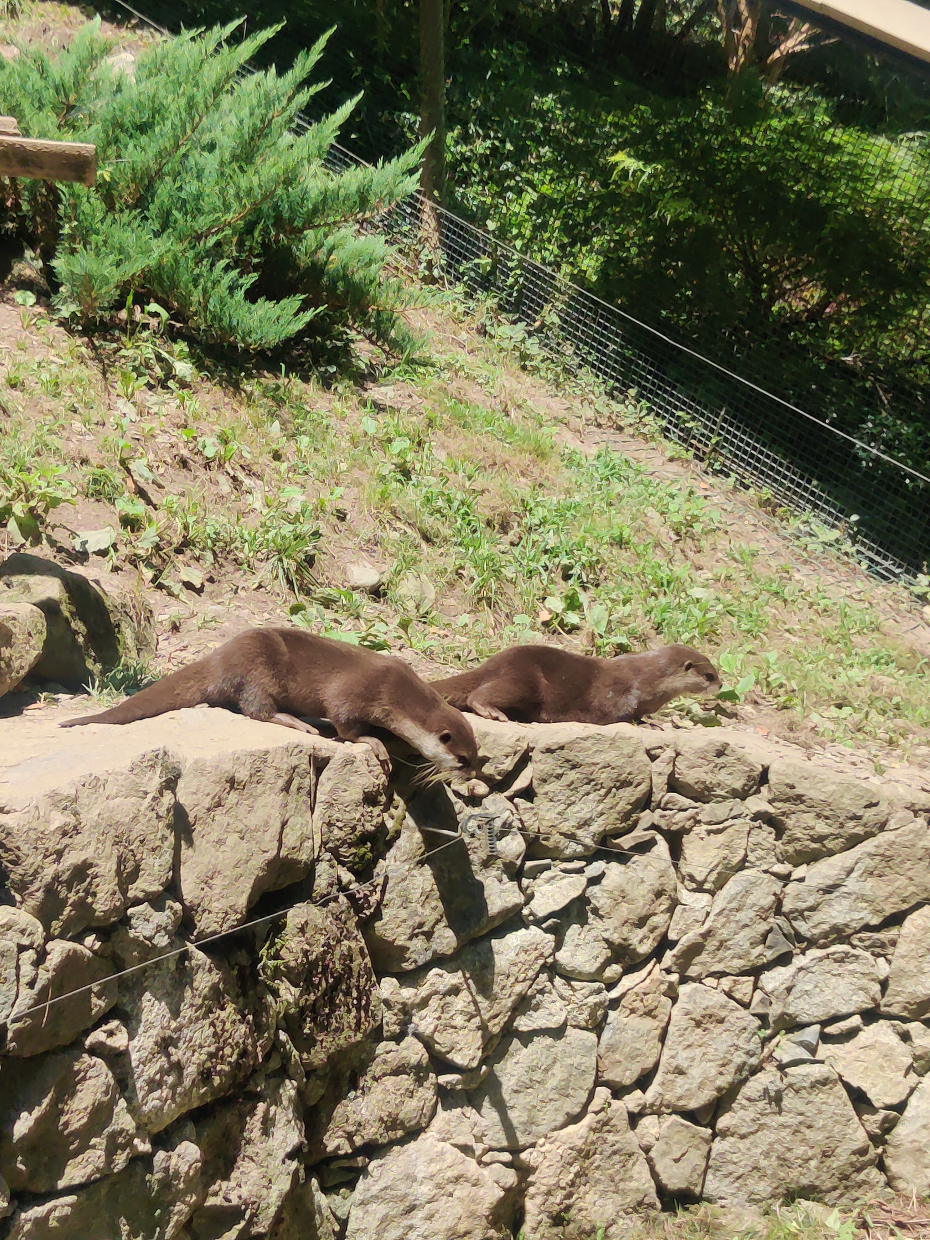 Photo n° 4 de l'avis de Fanny. fait le 19/07/2022 à 14:00
