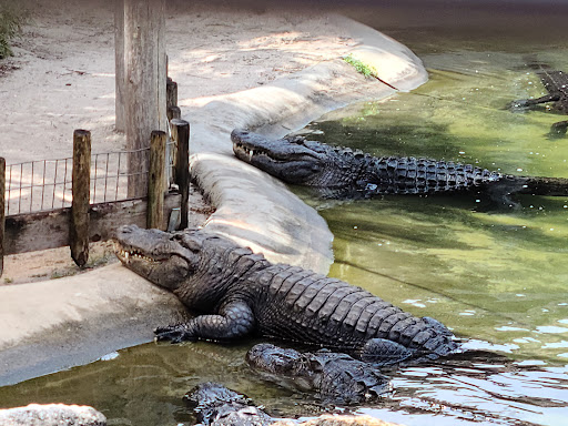 Sporting Goods Store «Bass Pro Shops», reviews and photos, 750 Bass Pro Dr NE, Palm Bay, FL 32905, USA