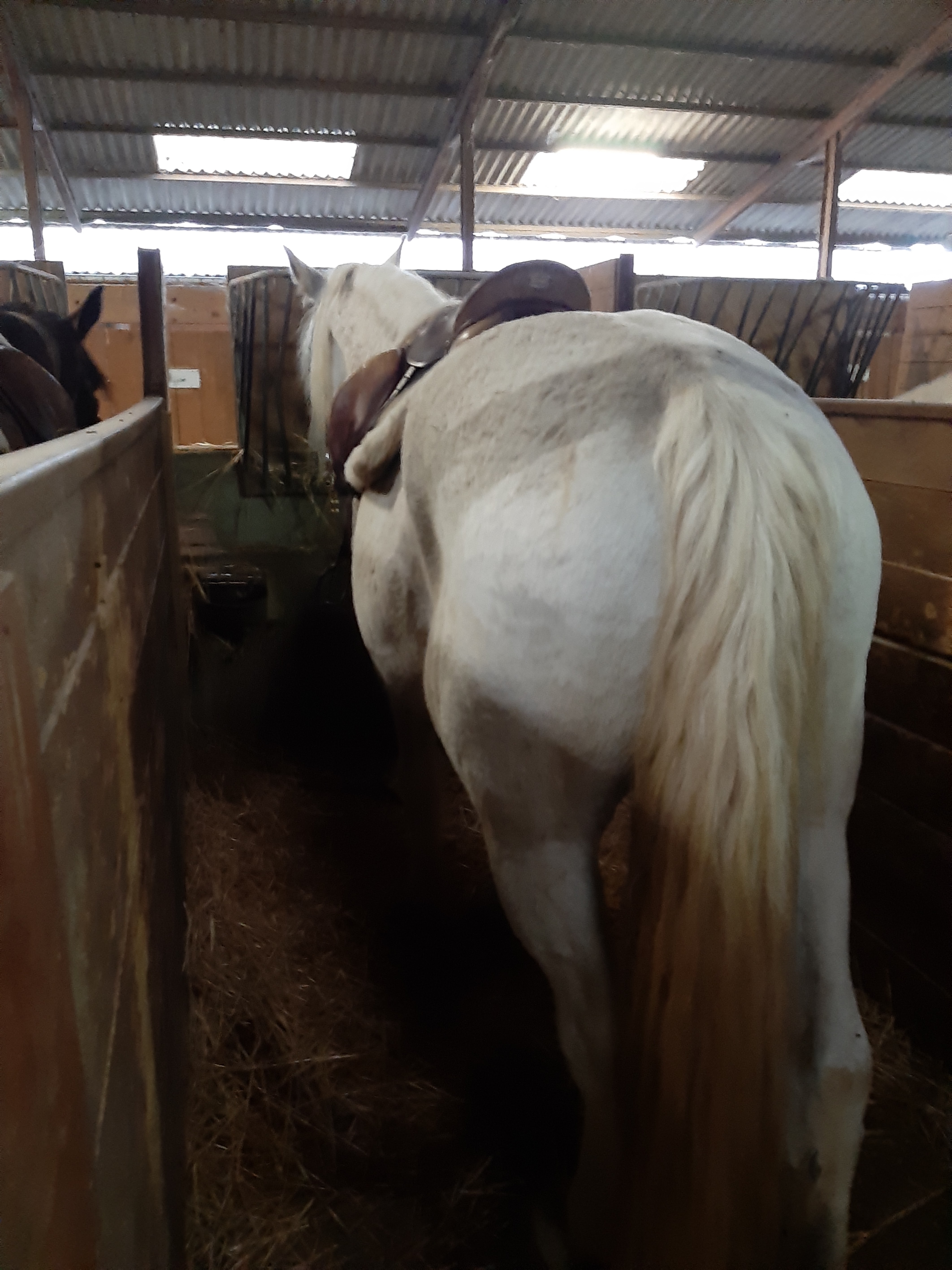 Photo n° 2 de l'avis de Karine.A fait le 01/11/2019 à 18:26