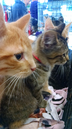 Pet Supply Store «Petco Animal Supplies», reviews and photos, 3731 Gateway Dr, Eau Claire, WI 54701, USA