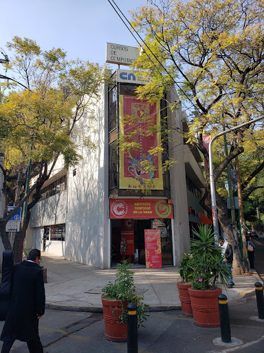 Instituto Confucio - UNAM